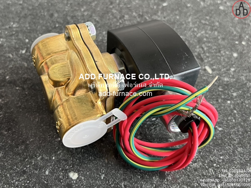 Asco Red Hat Rebuild Kit No.302372 (Explosion Proof) (4)
